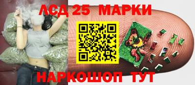 гидропоника Бугуруслан