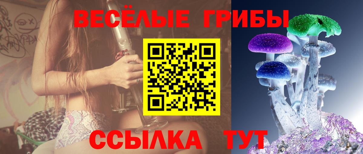 Реутов  Галлюциногенные грибы мухоморы  Вход с VPN 
